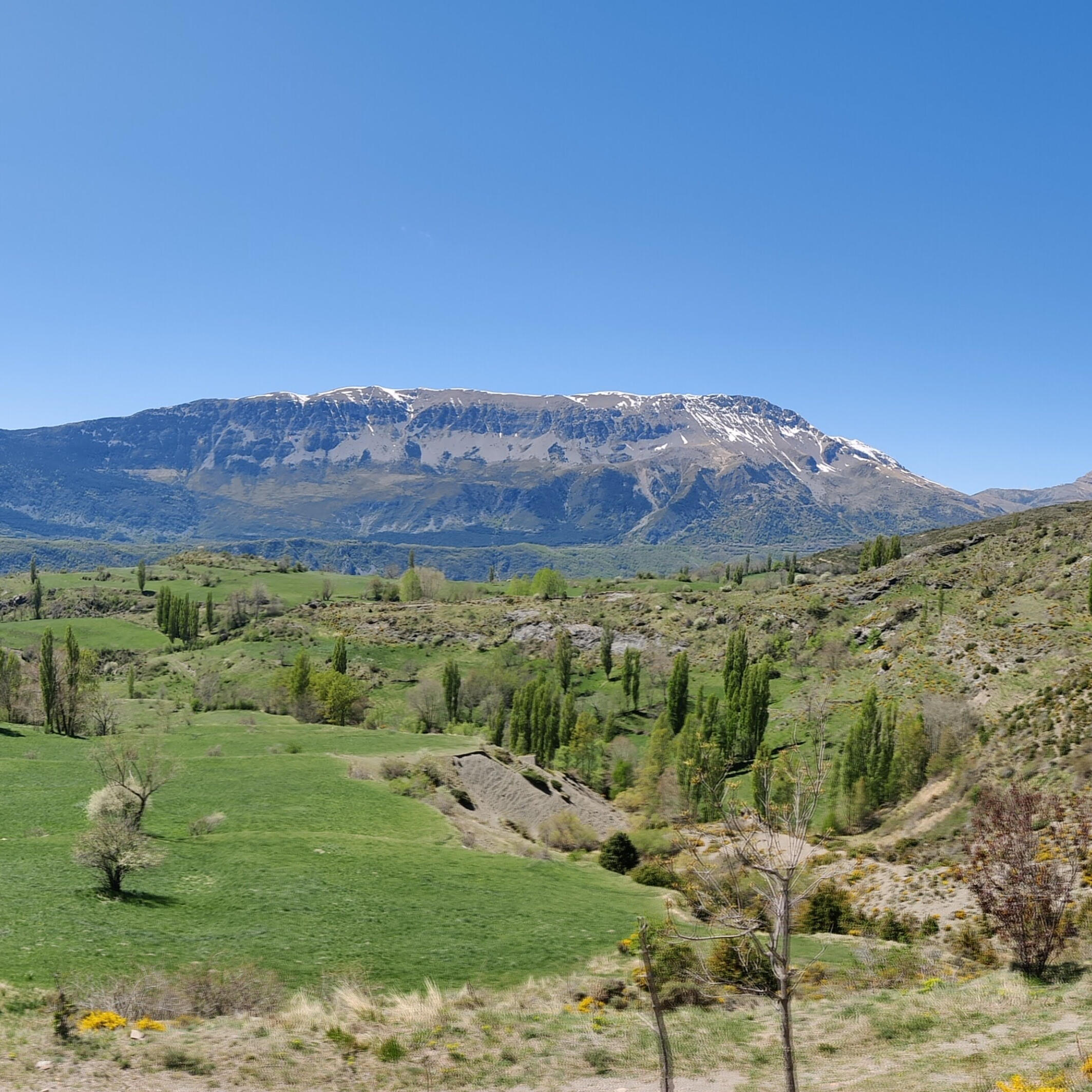 Prado verde rodeado de colinas en Aragón, localización cinematográfica para escenas tranquilas o bucólicas.