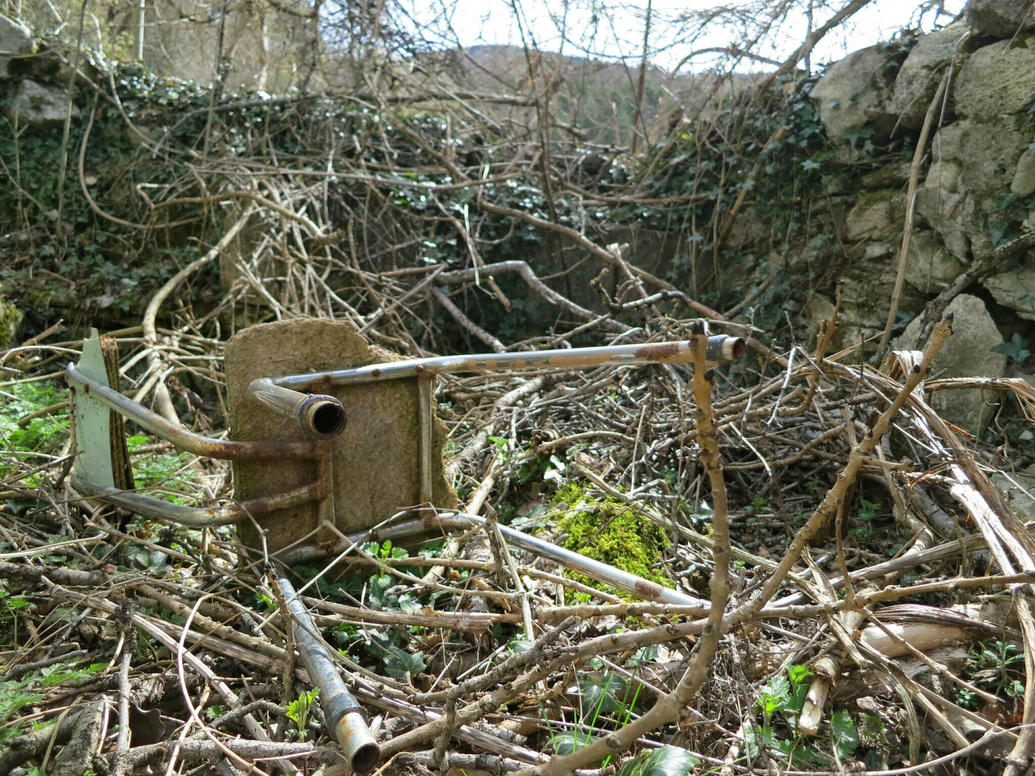 Cámara de vigilancia instalada en un bosque aragonés, ejemplo de uso tecnológico en entornos naturales para scouting de rodajes.